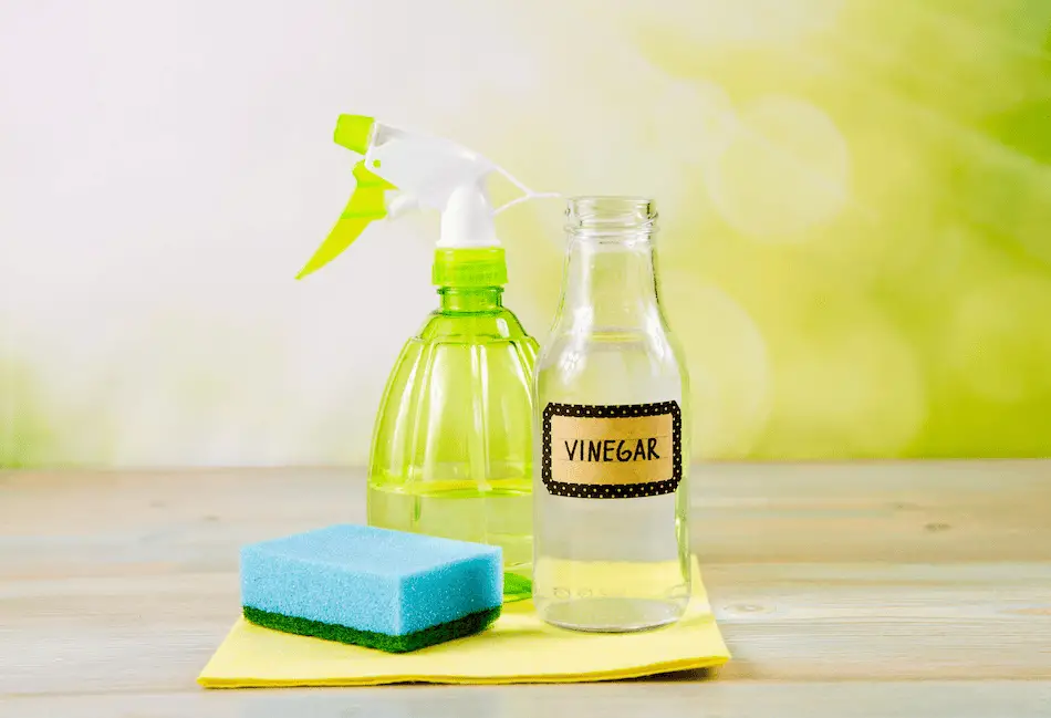water-vinegar solution