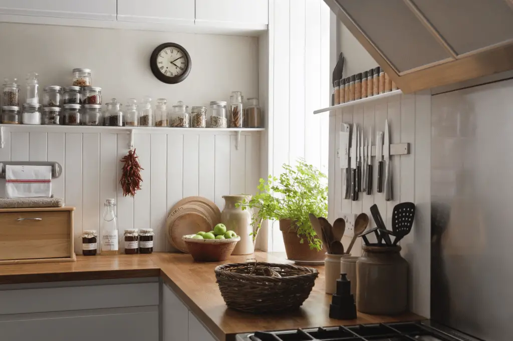 plants in kitchen