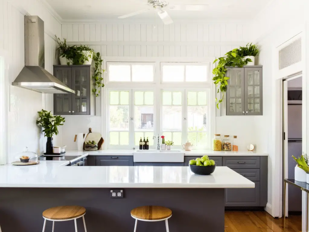 Plant in condo kitchen