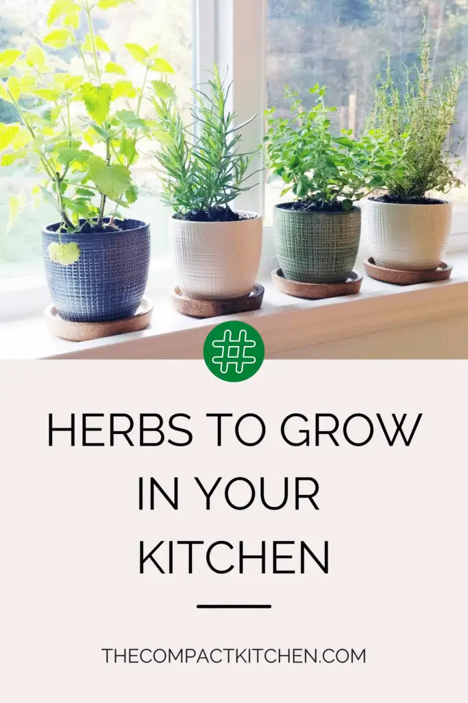 Herbs to grow in your kitchen