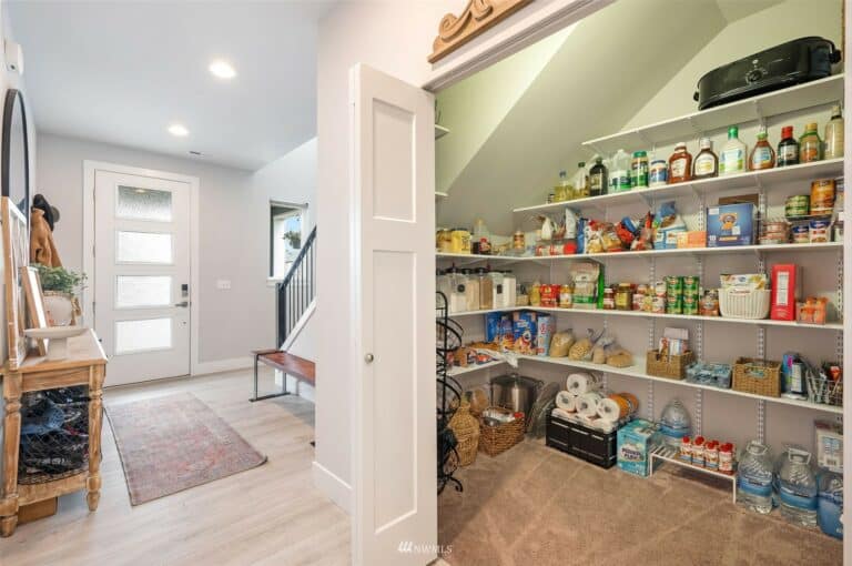 Unleashing Creativity: Designing Your Dream Walk-In Under Stairs Pantry