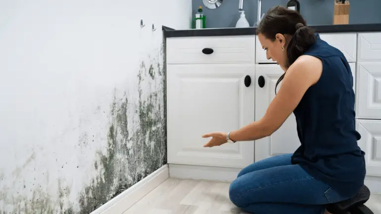 Spotting Trouble: Identifying Water Damage in Your Kitchen Cabinets
