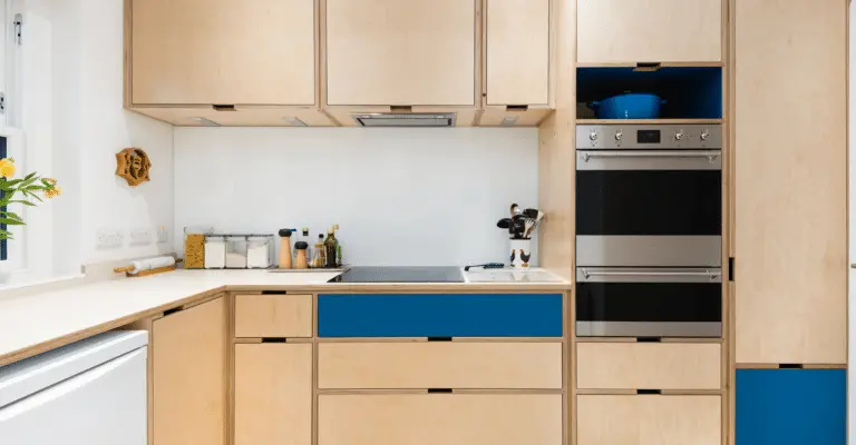 Birch Brilliance: Modern and Traditional Design Ideas for Birch Kitchen Cabinets