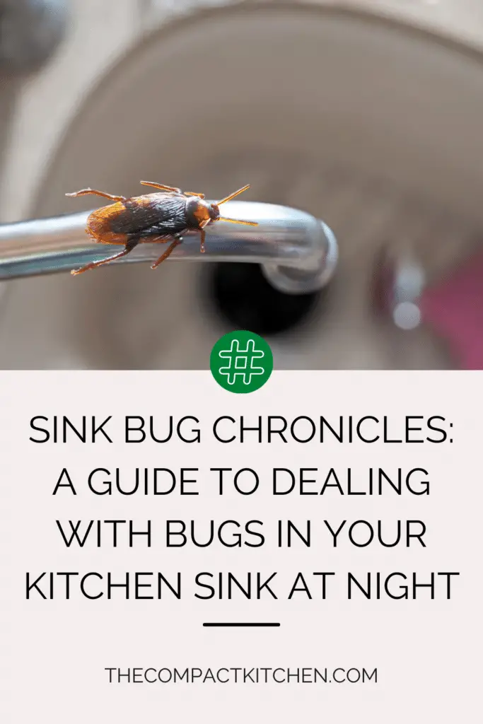 Sink Bug Chronicles: A Guide to Dealing With Bugs in Your Kitchen Sink at Night
