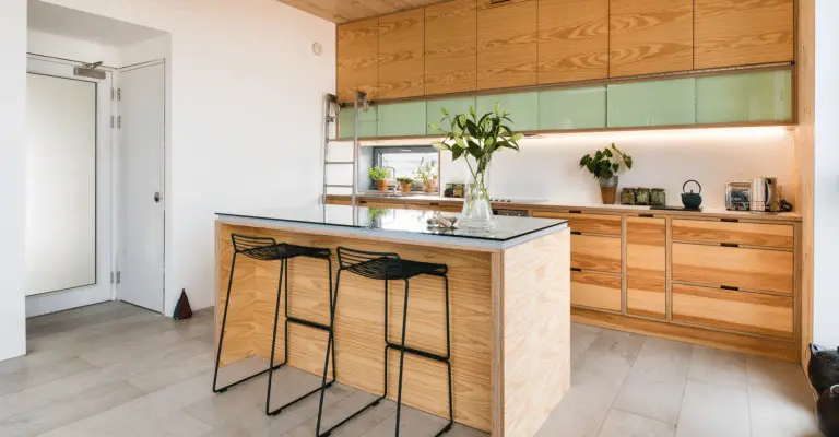 Birch Beauties: A Guide to Birch Cabinets in Your Kitchen