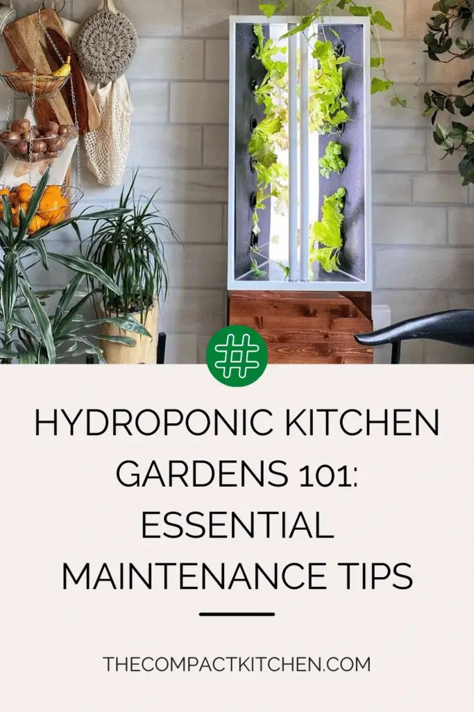 Hydroponic Kitchen Gardens 101: Essential Maintenance Tips