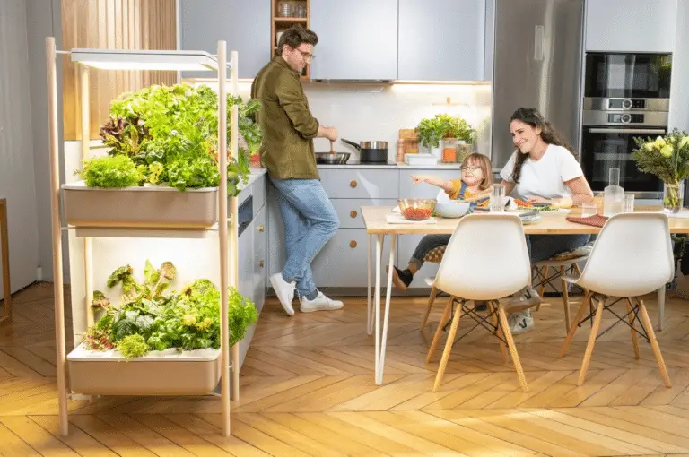 Growing Green: The Numerous Benefits of Kitchen Hydroponic Gardens